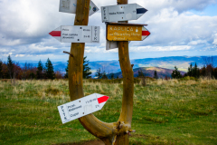 Przełęcz Kucałowa, szkrzyżowanie szlaków, Główny Szlak Beskidzki