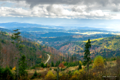 Widok spod Schroniska PTTK na Hali Krupowej