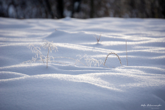 Zimowe Kadry w drodze na Mogielicę