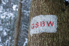 Znak Głównego Szlaku Beskidu Wyspowego