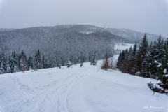 Widok z Polany Podskały na Gorc Troszacki i Kudłoń