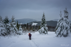 Podejście na Jaworzynę, w tle Beskid Wyspowy i Gorce