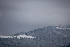 Widok na Halę Długą i Schronisko PTTK Turbacz w Gorcach
