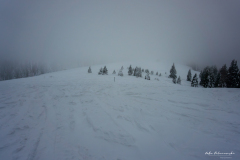 Hala Turbacz zimą we mgle