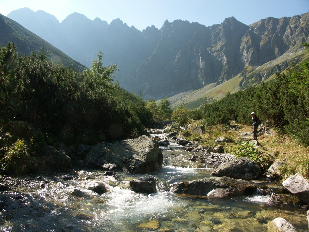 Dolina Jaworowa w słowackich Tatrach Wysokich, tu Dariusz Marciniak spotkał niedźwiedzia
