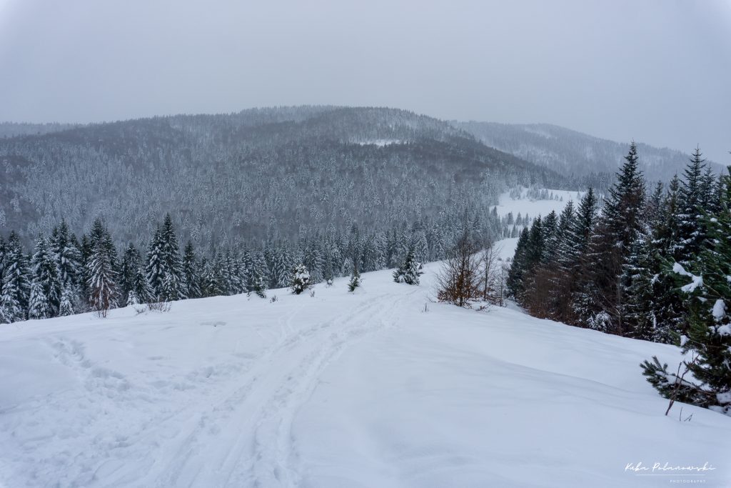 Widok z Polany Podskały na Gorc Troszacki i Kudłoń