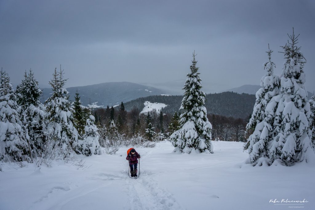 Podejście na Jaworzynę, w tle Beskid Wyspowy i Gorce. Na szlaku Tymbark - Nowy Targ czeka nas łącznie 2180 metrów podejścia.