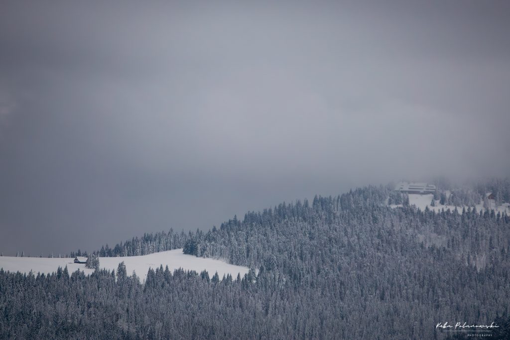 Widok na Halę Długą i Schronisko PTTK Turbacz w Gorcach